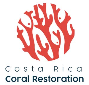 Link to Costa Rica Coral Restoration