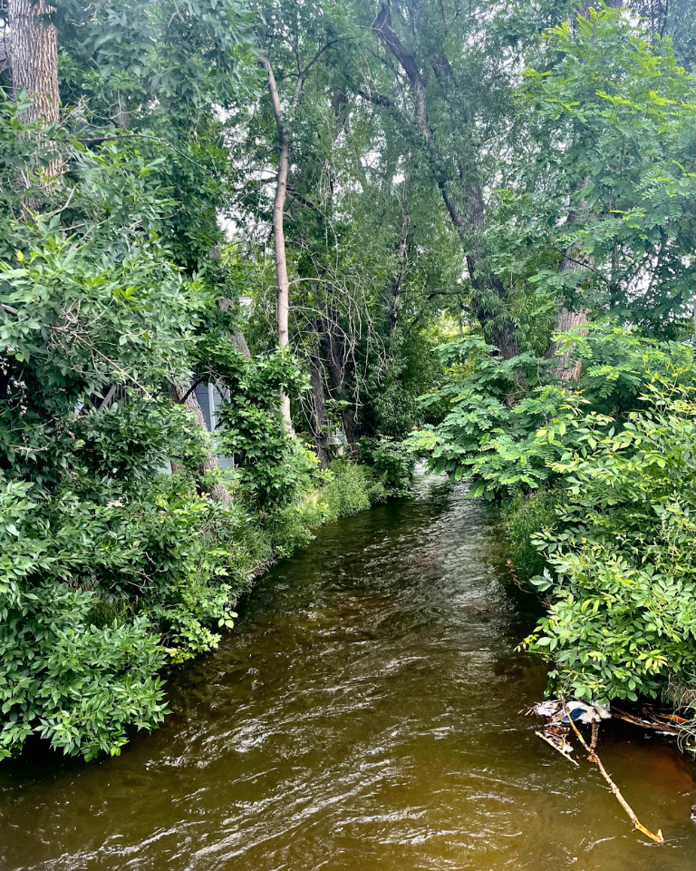 Finding Your Flow with Voodoo Hair Lounge