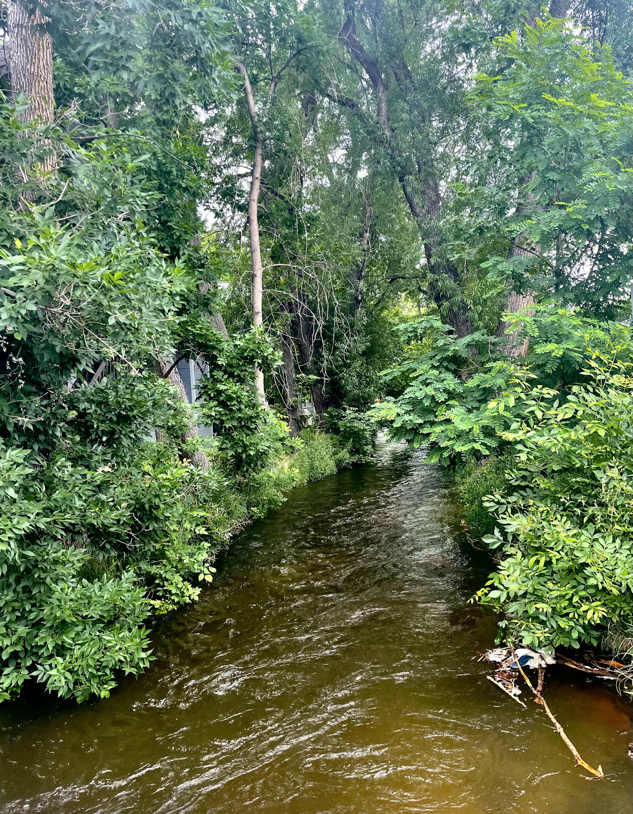 Finding Your Flow with Voodoo Hair Lounge